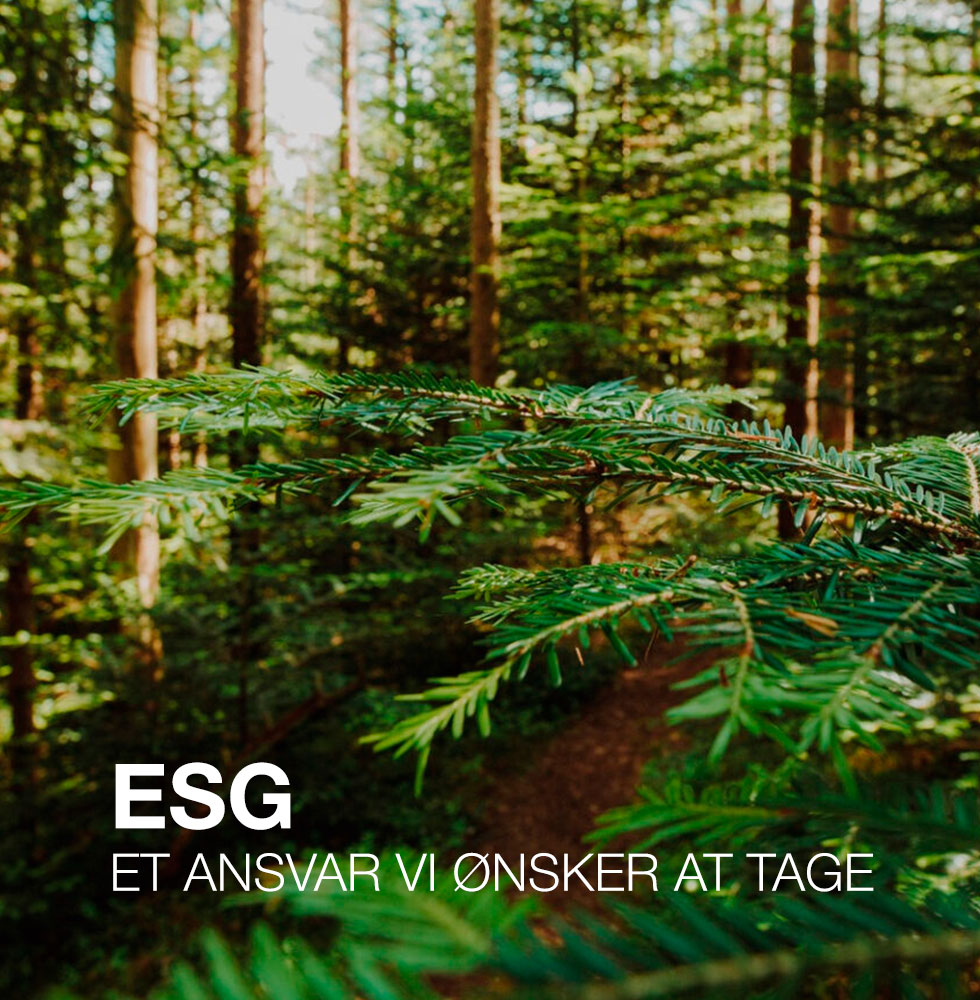 Billede af nåleskov med teksten ESG - Et ansvar vi ønsker at tage